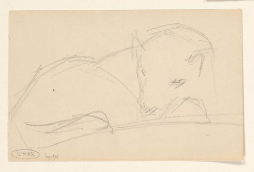 Sleeping animal