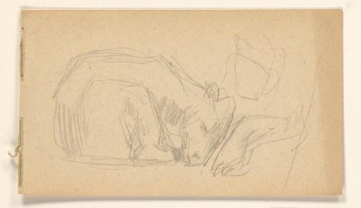 Sketch sheet with a recumbent animal
