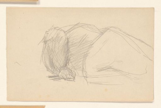 Sketch sheet with a recumbent animal