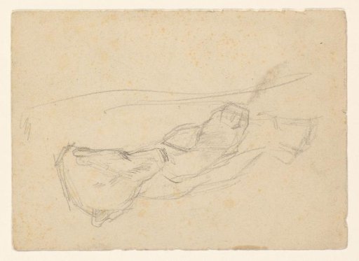 Sketch sheet with a sleeping polar bear