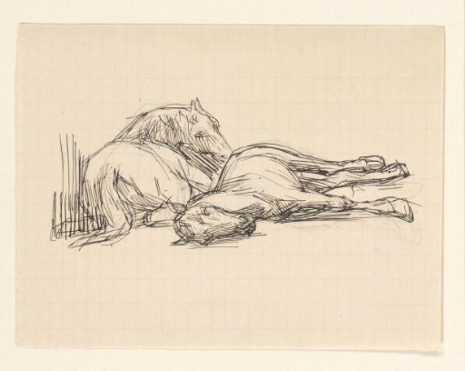 Two resting horses