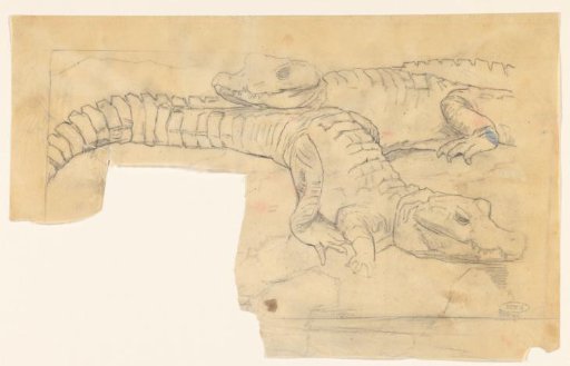 Two crocodiles