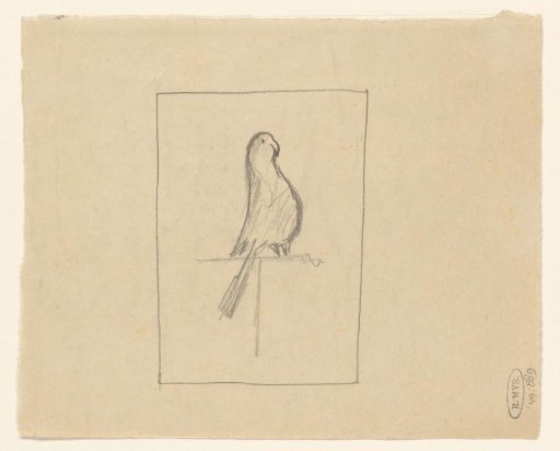 Sketch of a parrot
