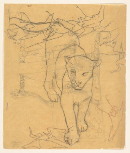 Sketch of a lioness