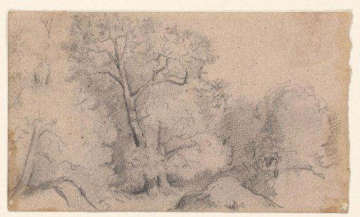 Forest at Fontainebleau