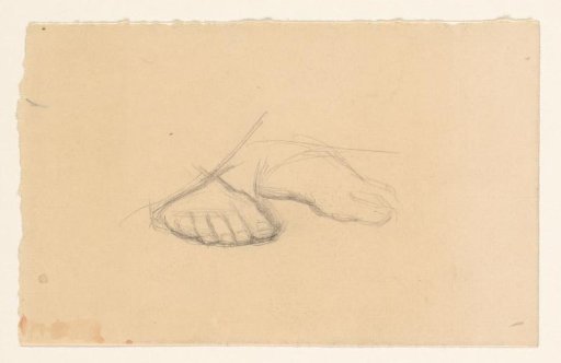Foot Study
