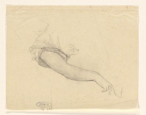 Arm Study