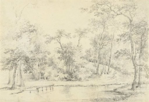 Pond in a Wood