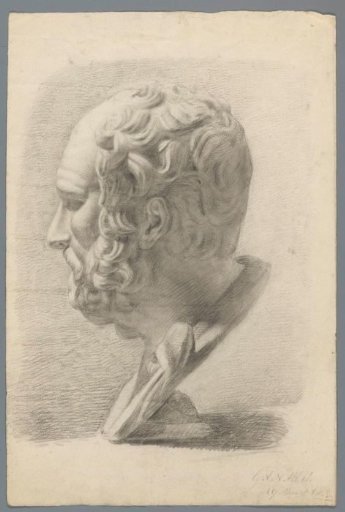 Study of a classical head