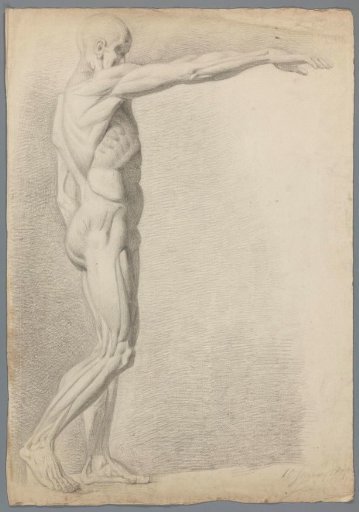 Study after a Classical Statue