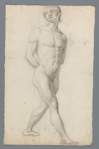 Nude study, standing, seen from the front