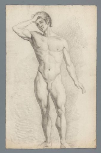 Standing male nude, seen from the front