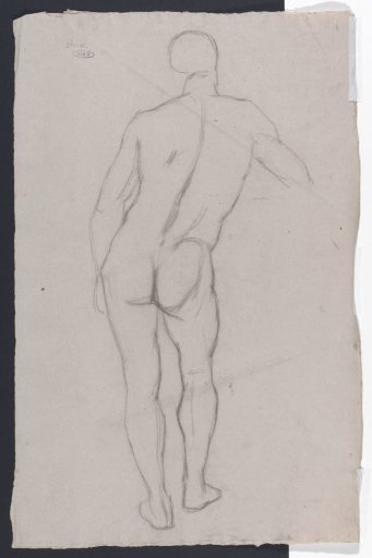 Sketch of a male nude, from behind