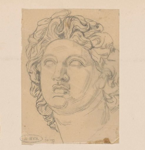 Man's head