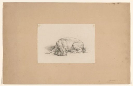 Recumbent dog