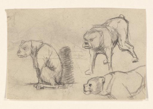 Sketch sheet with studies of dogs