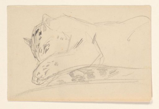 Sketch sheet with a leopard