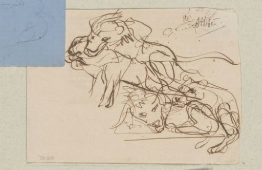 Sketch sheet with study of fighting lions