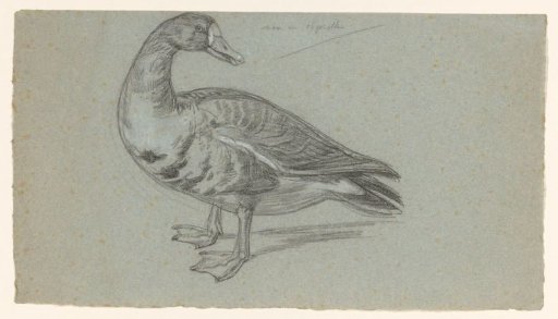 Sketch of a stuffed duck