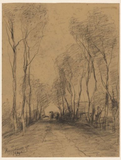 Country road with cows near Hoge Zwaluwe