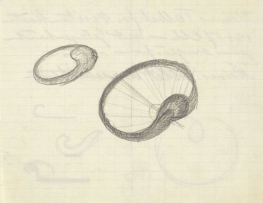 Design for a Ring
