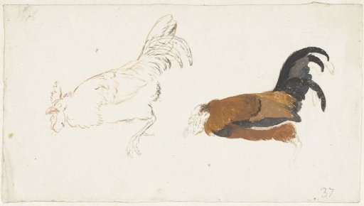 Two Studies of a Dead Rooster
