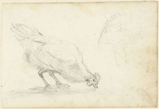 Study Sheet with Chickens and a Peacock