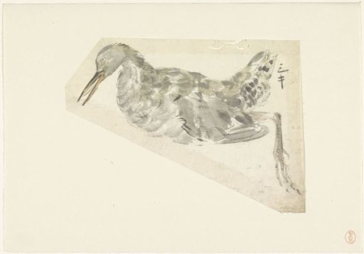 Dead Waterfowl