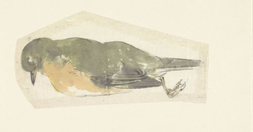 Dead Robin