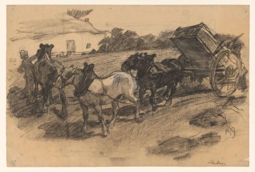 Team of three horses for a carriage on sloping arable land in Limburg