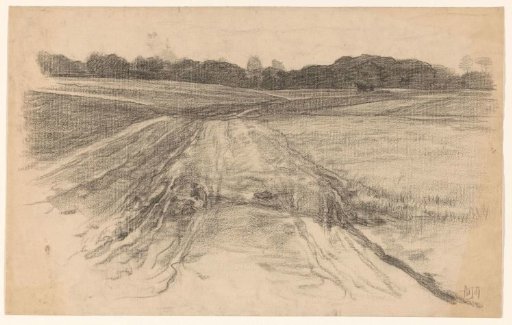 Country road through open fields