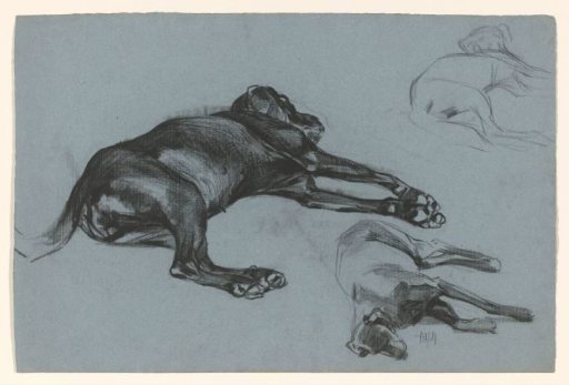 Recumbent dogs