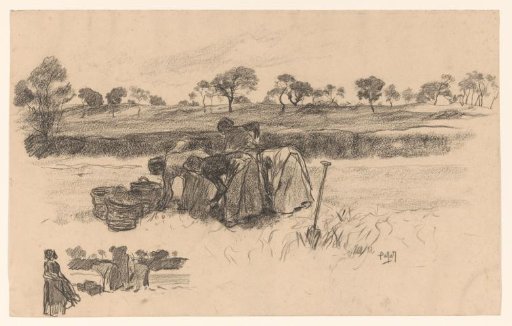 Working women in the field