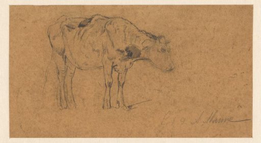 Standing cow, facing right