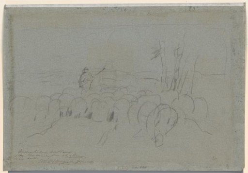 Shepherd with a flock of sheep