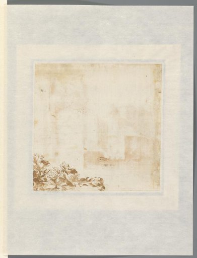 Sketch of Leaves