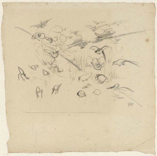 Sketch for illustration in How the Birds Came to a King