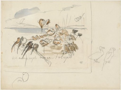 Sketch for illustration in How the Birds Came to a King