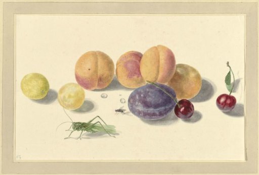 Peaches, plums, cherries and two insects