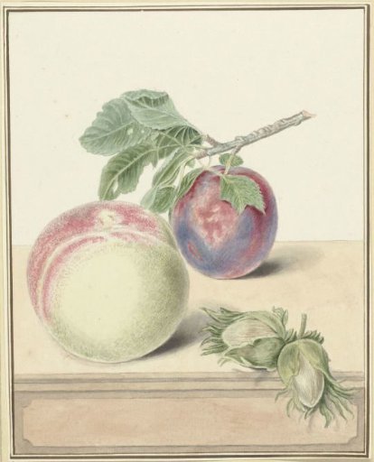 Peach, a plum with leaf and a few nuts