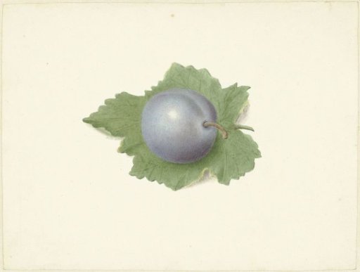 Plum on a leaf