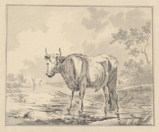 Cow in a watery landscape