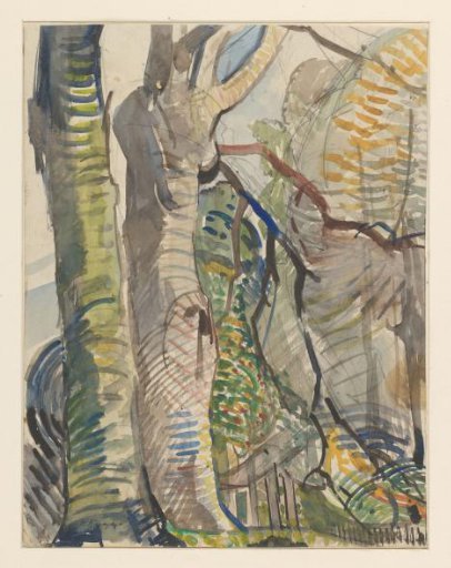 Forest landscape