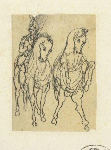 Rider and a jumping horse, both seen from the front