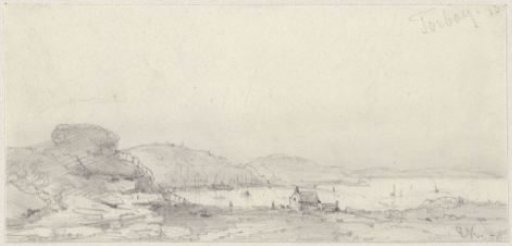 Coastal landscape at Torbay
