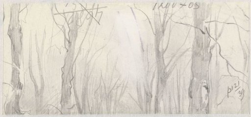 Tree studies