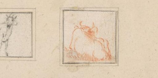 Recumbent cow