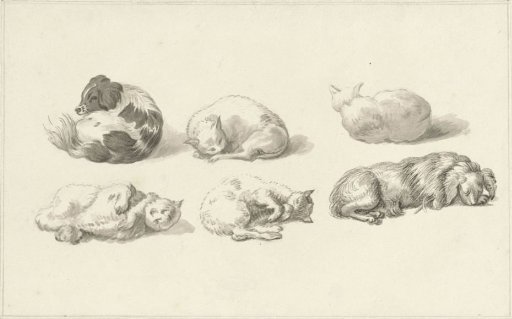Studies of reclining dogs and cats