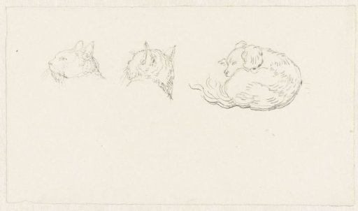 Two sketches of the head of a cat and a lying dog