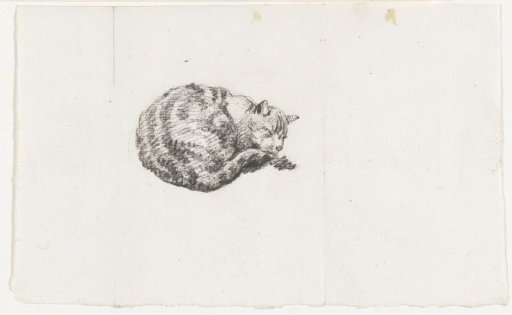 Lying, sleeping cat